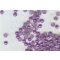 Félgyöngy 1,2 cm-es (kb. 100 db), lila