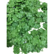 Mini lóhere konfetti, műanyag (1 cm, 200 db)