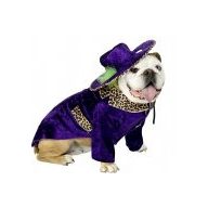 Cool Doggy jelmez kutyának