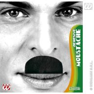 Bajusz (Chaplin)